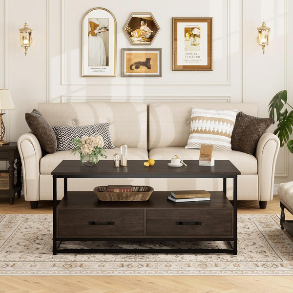 Botlo Lounge Living Room Center Table with 2 Drawers